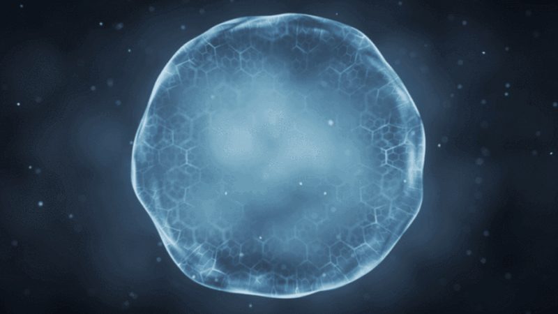酶制剂代理加盟：技术培训，开启生物科技新篇章**