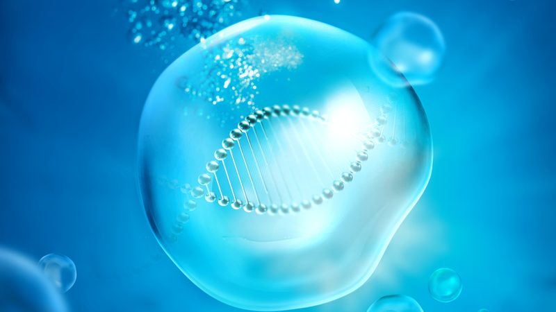 生物科技公司采购标准：解码合规与高效之路**