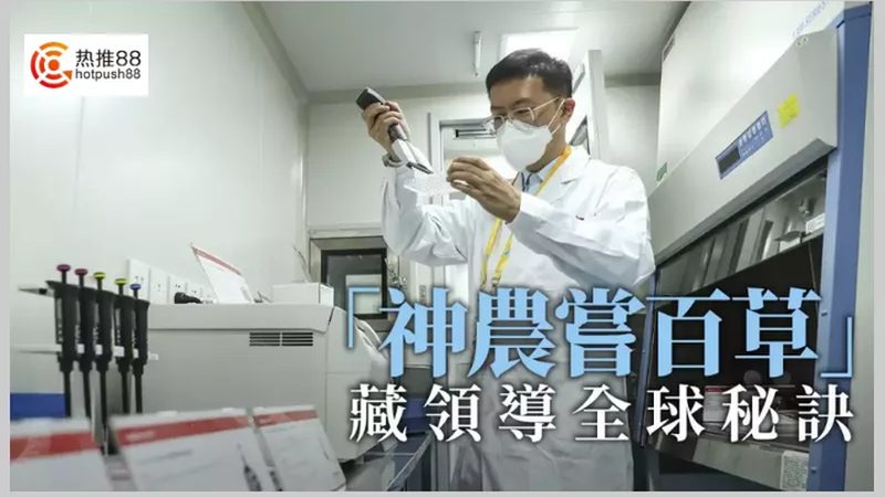 解码CRO平台价格：揭秘十大品牌背后的真相