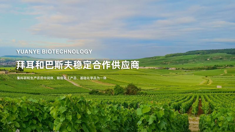 细胞工厂加盟代理，如何迈出成功的第一步？**