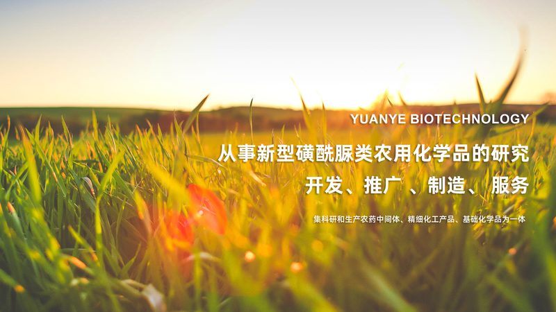 CRO优化方案定制不是越贵越好